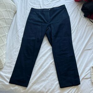 ANN TAYLOR Navy Pants
